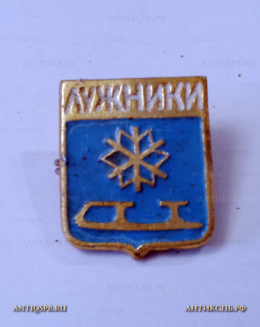 Значок "Стадион Лужники" Москва СССР Вт. пол. ХХ века №2157